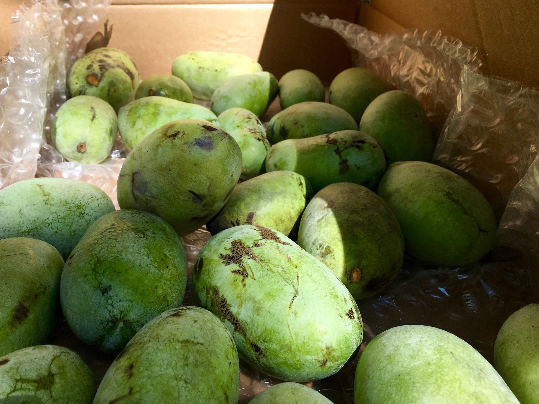 A box full of pawpaws