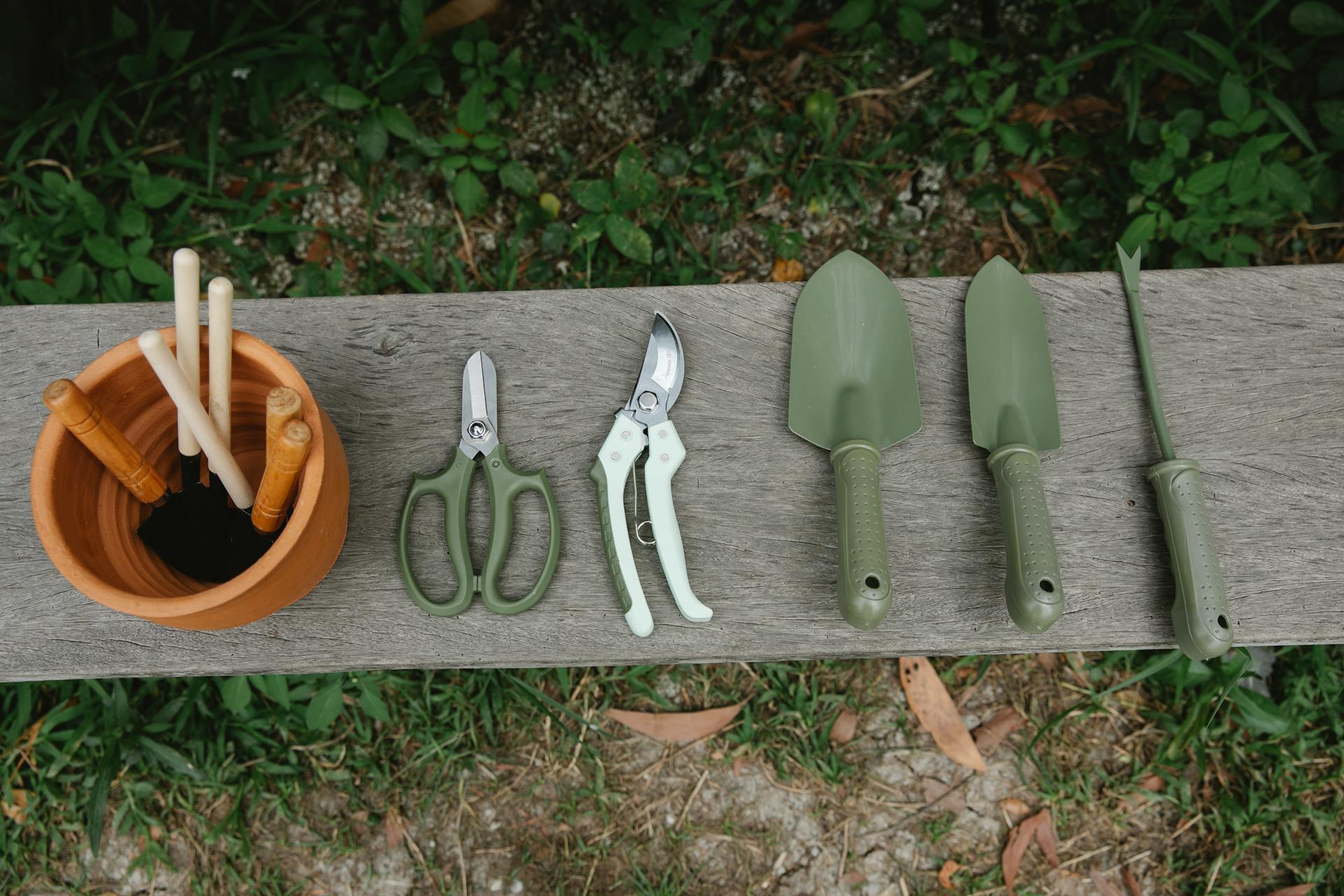 A collection of gardening tools lies on a wooden bench.