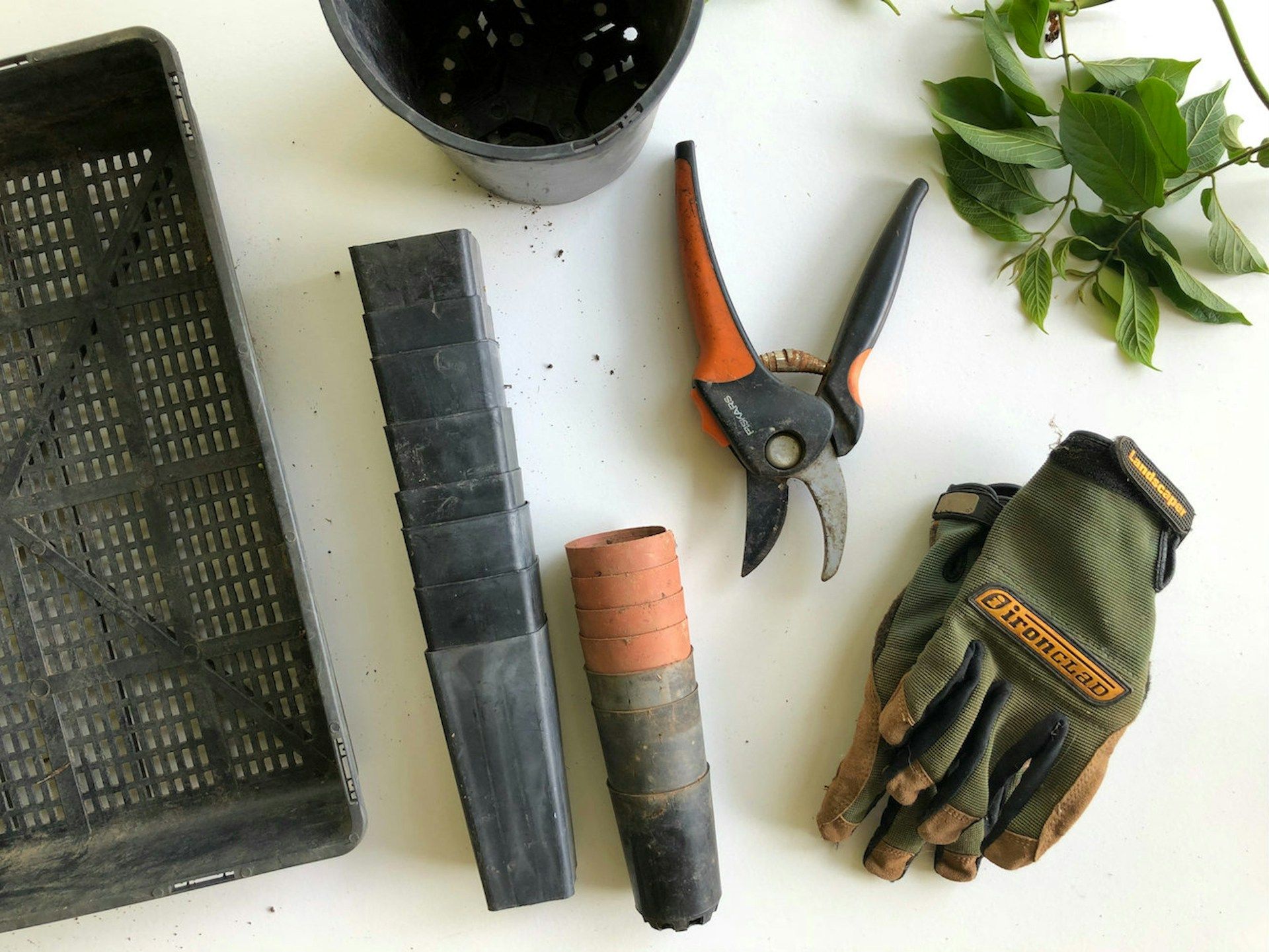 Several gardening tools are laid out on a table.