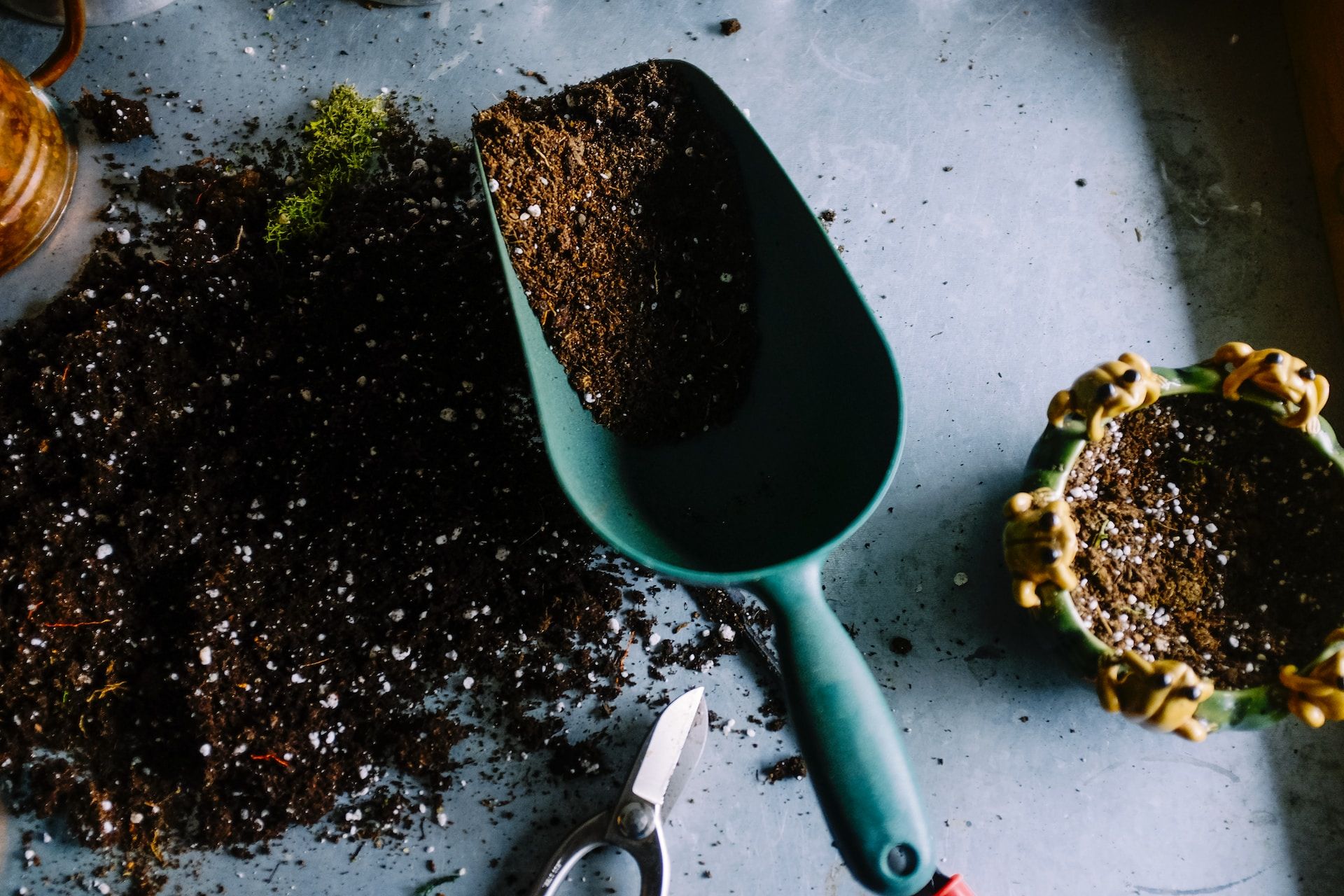 Metal garden shovel filled with soil. Image from Unsplash.