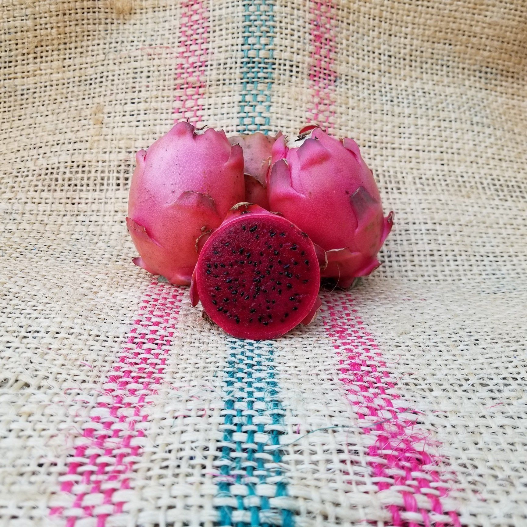 Valdivia Roja dragon fruit cut in half