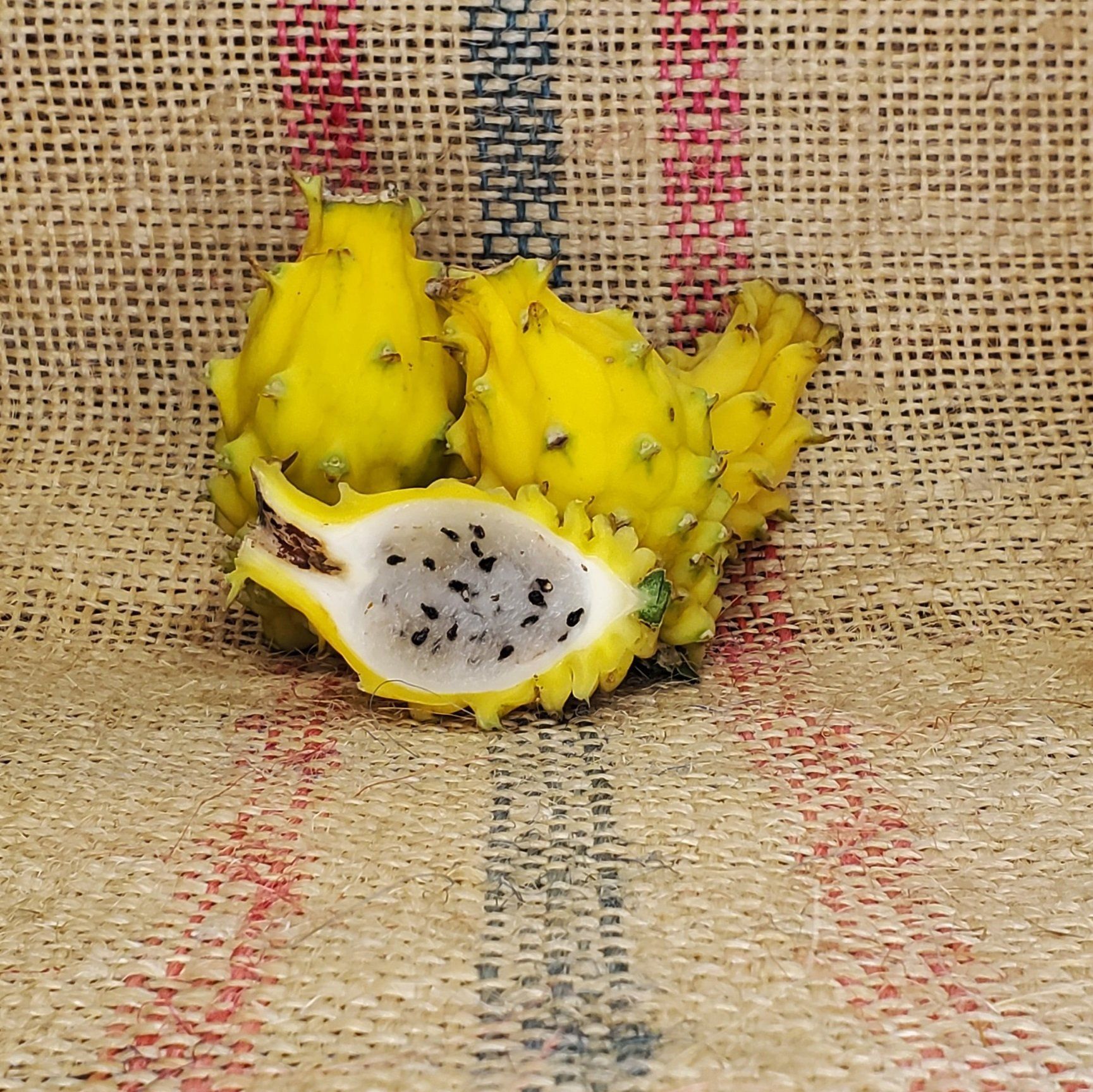 Yellow Dragon dragon fruit cut in half